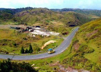 Meghalaya: Over 4,000 trees to be axed for crucial road project in Garo Hills