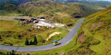 Meghalaya: Over 4,000 trees to be axed for crucial road project in Garo Hills