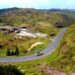 Meghalaya: Over 4,000 trees to be axed for crucial road project in Garo Hills