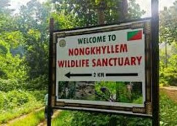 Meghalaya’s Green-Tech Foundation opposes tourism project in Nongkhyllem Wildlife Sanctuary