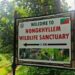 Meghalaya’s Green-Tech Foundation opposes tourism project in Nongkhyllem Wildlife Sanctuary