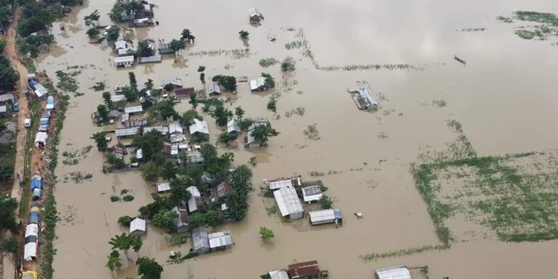 A file photo of Assam flood (X)