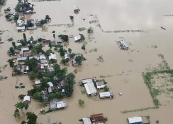 A file photo of Assam flood (X)