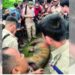 Royal Bengal Tiger hacked to death in Assam’s Golaghat, 3 arrested