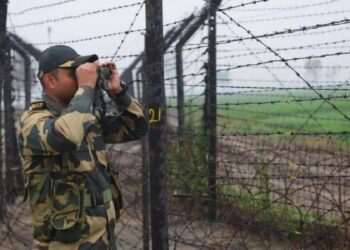 A file photo of a BSF personnel in Indo-Pak border (bsf_jammu/X)