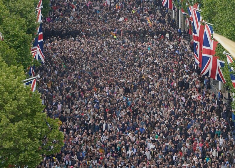 Thousands of people gathered near Buckingham Palace and around the Houses of Parliament on Monday (X)