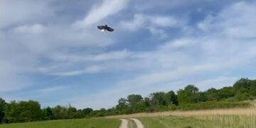 How palm-size drones are helping farmers make data-driven decisions