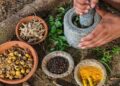 India signs MoU with World Health Organization to promote traditional medicine