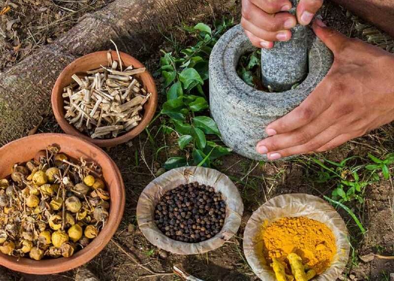 India signs MoU with World Health Organization to promote traditional medicine