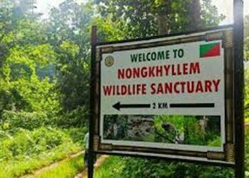 Meghalaya: Hynniewtrep Youth Council urges Centre to halt ‘Eco-Tourism’ project in Nongkhyllem Wildlife Sanctuary