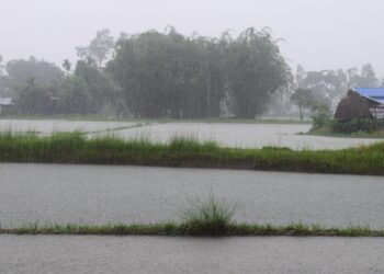 Representational image (pixabay)