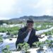 Strawberry Festival showcasing blend of agriculture, tourism & culture kicks off in Meghalaya