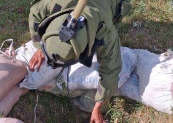 Indian bomb squad neutralises dozens of unexploded shells in border villages (X)