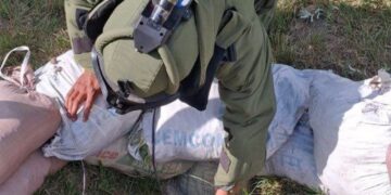 Indian bomb squad neutralises dozens of unexploded shells in border villages (X)