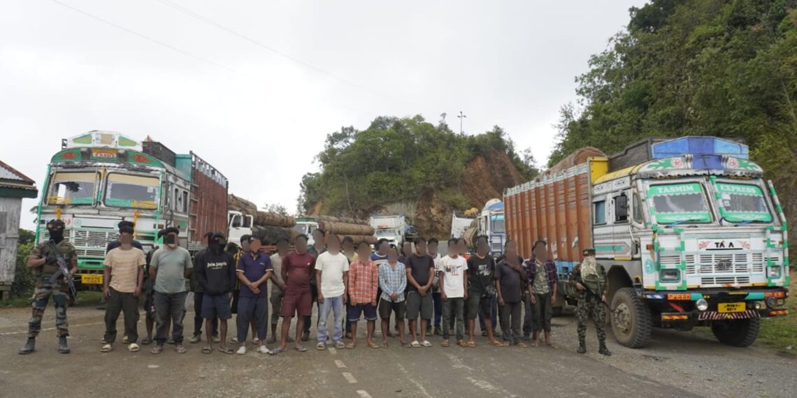 Timber worth Rs 3.1 crore seized in Manipur; 61 vehicles confiscated