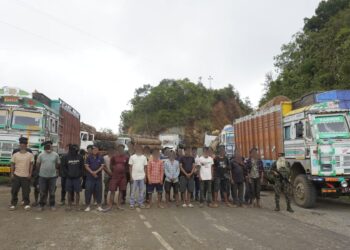 Timber worth Rs 3.1 crore seized in Manipur; 61 vehicles confiscated