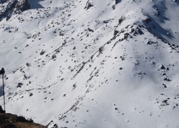 Representational image (pixabay)