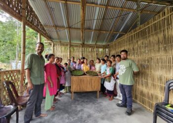 Aaranyak empowers Assam’s Karbi women with tea, jackfruit processing skills