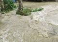 Assam: Massive floods submerge 230 villages in Lakhimpur after NEEPCO releases dam water; 1 dead