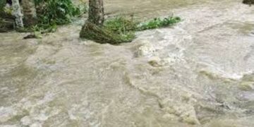 Assam: Massive floods submerge 230 villages in Lakhimpur after NEEPCO releases dam water; 1 dead