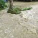 Assam: Massive floods submerge 230 villages in Lakhimpur after NEEPCO releases dam water; 1 dead