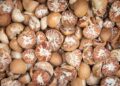 Mizoram govt to set up areca nut processing units in Kolasib, Mamit