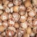 Mizoram govt to set up areca nut processing units in Kolasib, Mamit