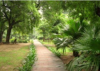 Local strategies a must for Indian cities facing heat waves