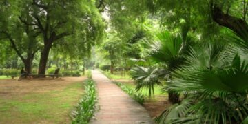 Local strategies a must for Indian cities facing heat waves