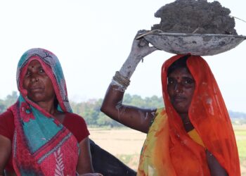 Representational image (pixabay)