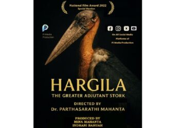 Assam: Documentary ‘HARGILA – The Greater Adjutant Stork’ released on YouTube