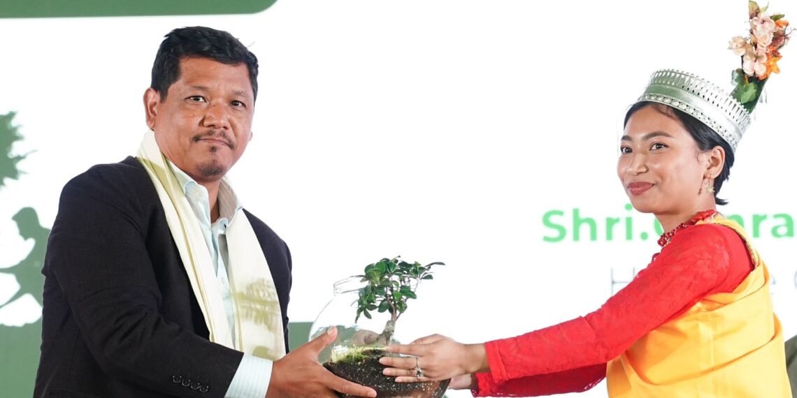 Meghalaya plants 1.84 crore saplings in 5 years, targets 42,000 hectares of afforestation