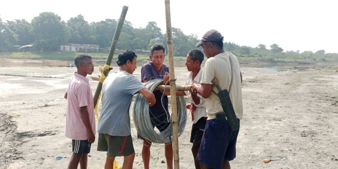 Solar fencing brings relief to HEC-hit villages in Jorhat