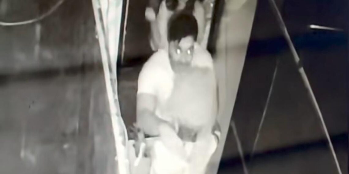 A screengrab from the CCTV camera footage shows the tourist damaging the park property