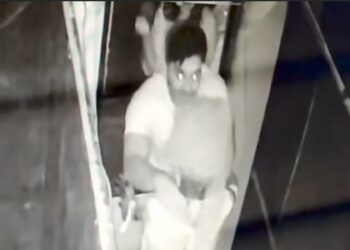 A screengrab from the CCTV camera footage shows the tourist damaging the park property