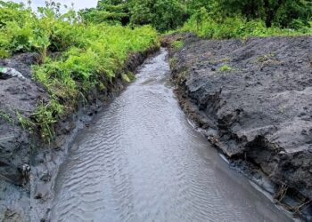 Assam: Age-old ‘dongs’ revived in Udalguri to boost water access