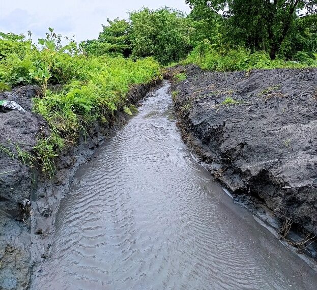 Assam: Age-old ‘dongs’ revived in Udalguri to boost water access