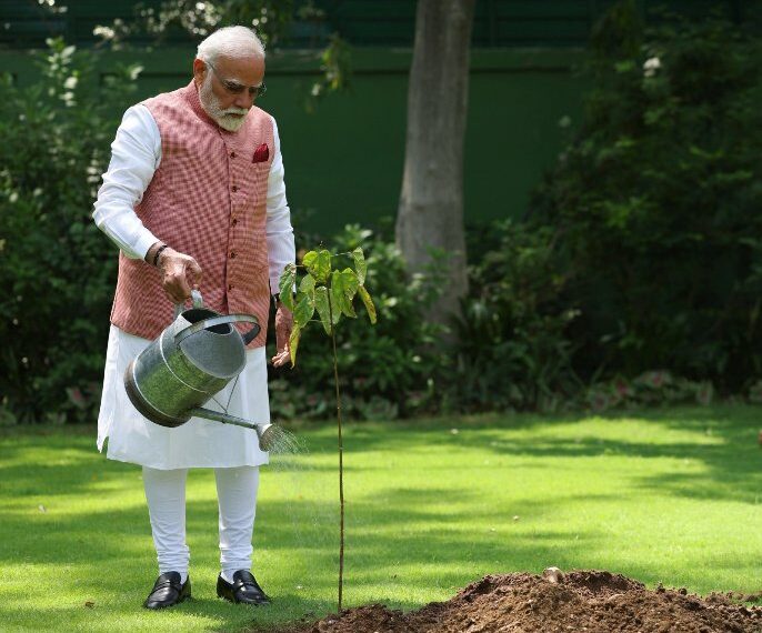 World Environment Day: PM Modi plants ‘sindoor’ sapling at residence
