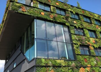 From concrete to canopy: The grey-to-green shift urban India urgently needs