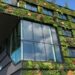 From concrete to canopy: The grey-to-green shift urban India urgently needs