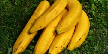 Representational image (pixabay)