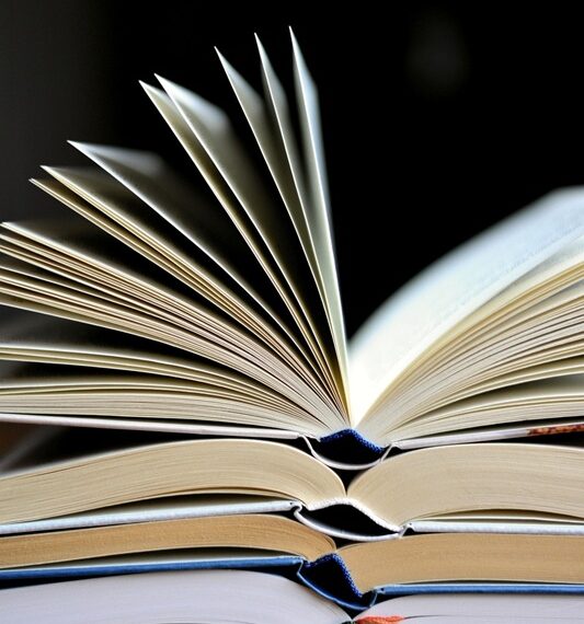 Representational image (pixabay)