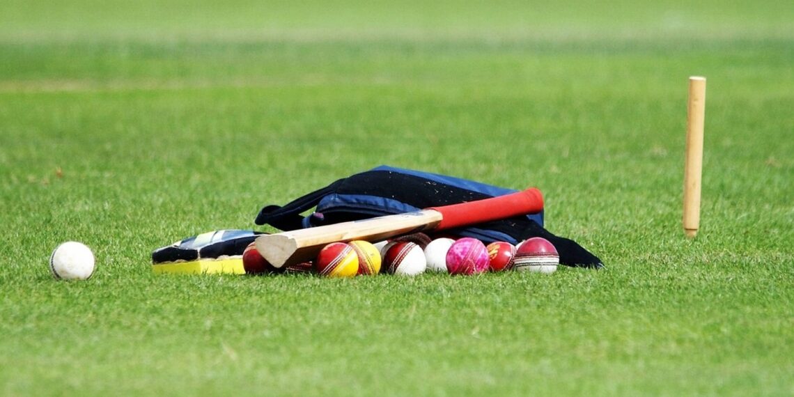 Representational image (pixabay)