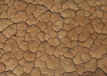 Representational image (pixabay)