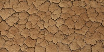 Representational image (pixabay)