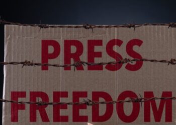 Representational image (pixabay)