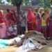 Assam: Eviction drive begins in Goalpara forest to clear encroached land