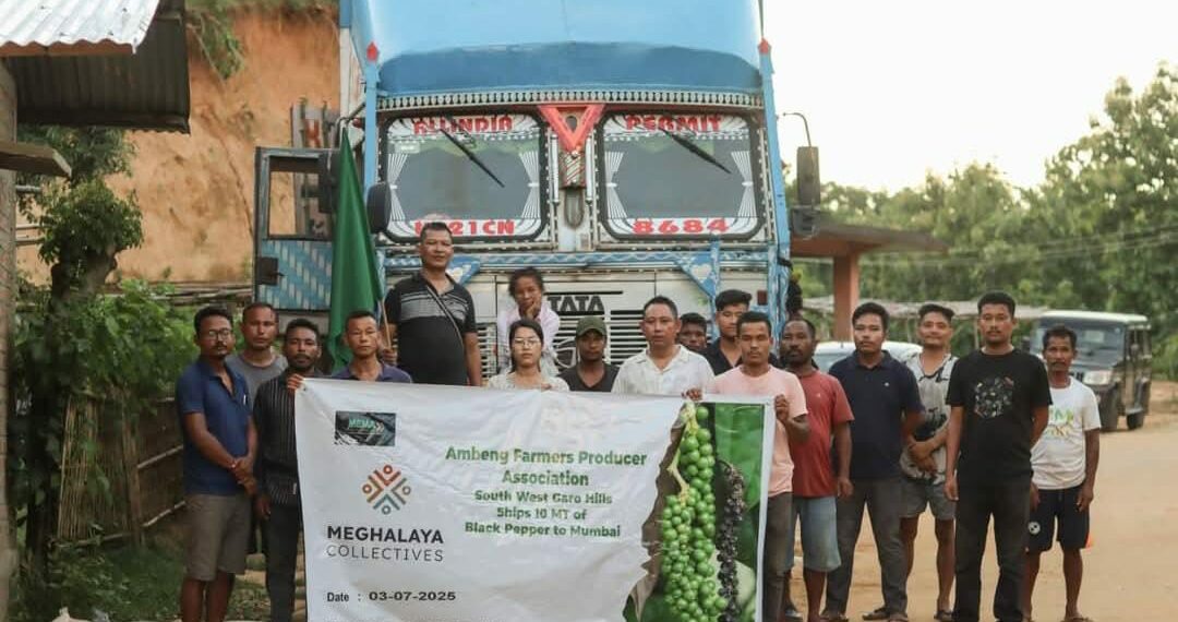 Meghalaya ships 10 MT of organic black pepper to Mumbai