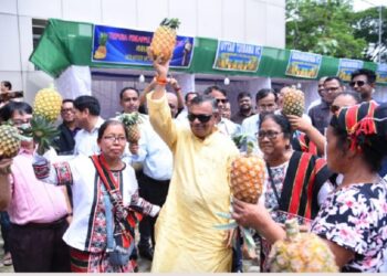 Tripura govt mulls setting up new fruit processing centre in Dhalai district