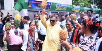 Tripura govt mulls setting up new fruit processing centre in Dhalai district